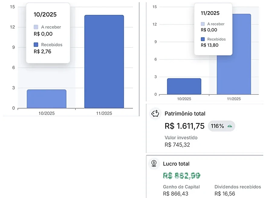 Print do app da Maria Cristina: dividendos de R$ 13,80 no mês, patrimônio de R$ 1.611,75 e lucro de R$ 882,99