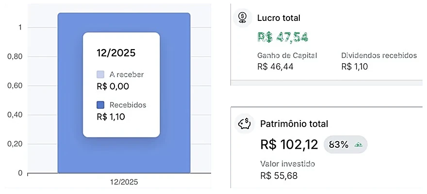 Print do app da Raquel: patrimônio de R$ 102,12 com R$ 55,68 investidos e lucro de R$ 47,54
